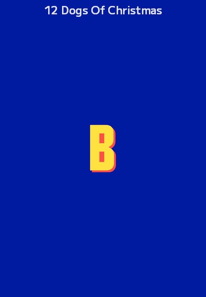 12 Dogs Of Christmas