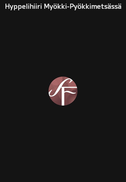 Hyppelihiiri Myökki-Pyökkimetsässä