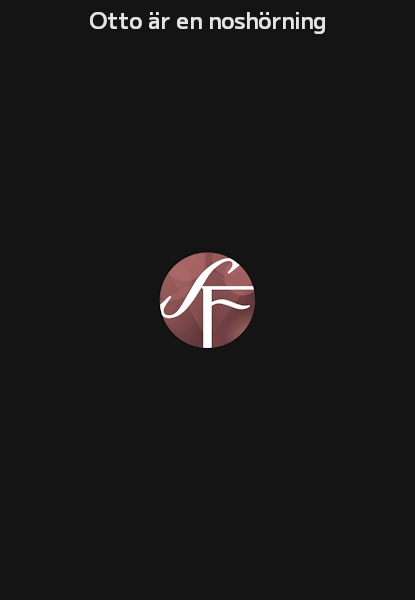 Otto är en noshörning