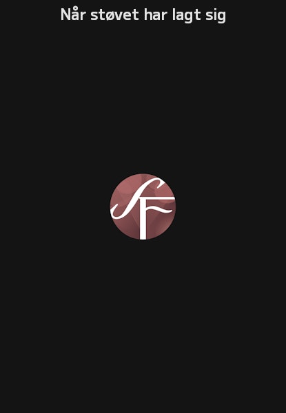Når støvet har lagt sig