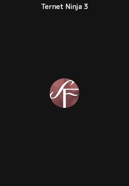 Ternet Ninja 3