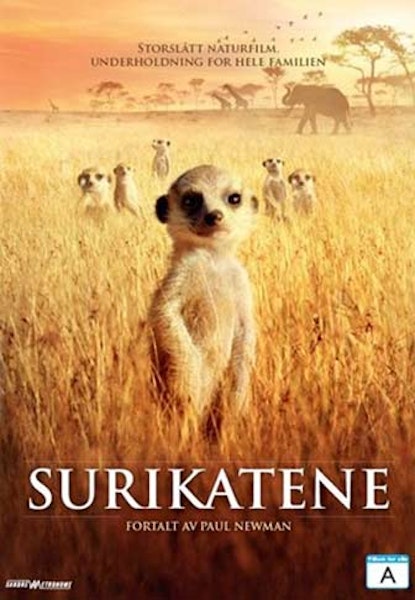 Surikatene