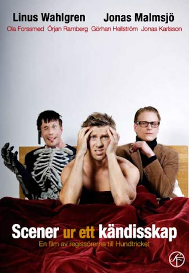 Scener ur ett kändisskap