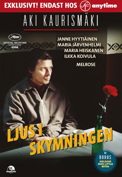 Ljus i skymningen