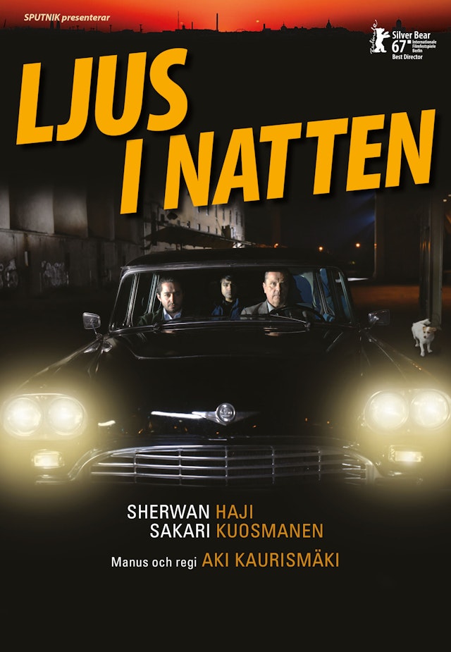 Ljus i natten
