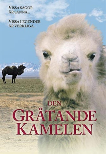 Den gråtande kamelen