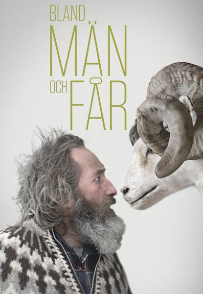 Bland män och får