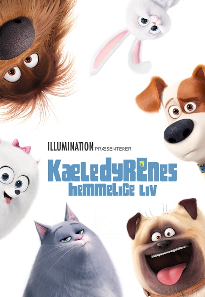 Kæledyrenes hemmelige liv