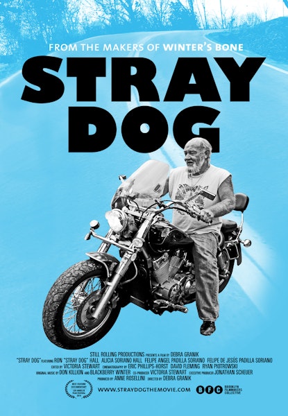Stray Dog