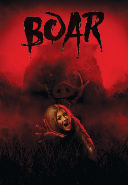Boar