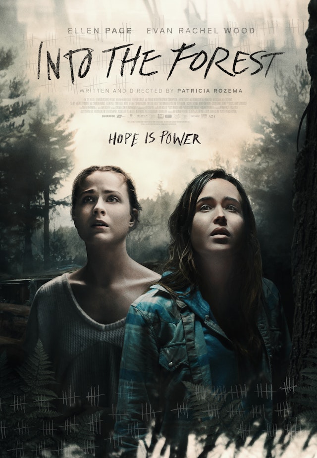 Into the Forest