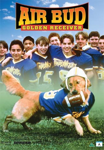 Air Bud 2 - räddar spelet