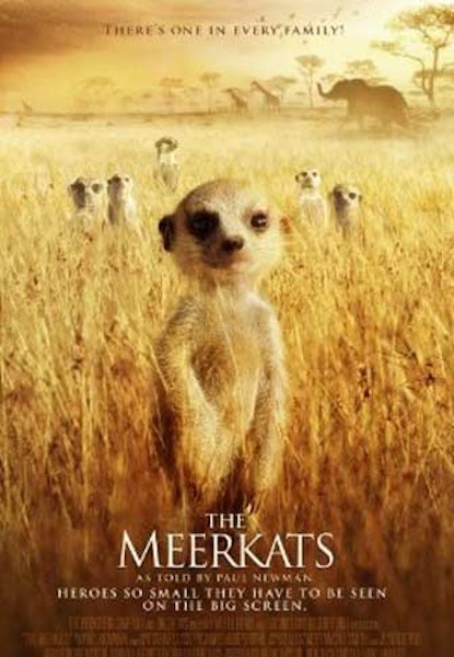The Meercats