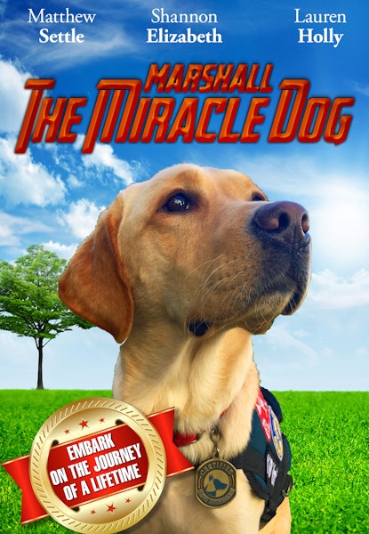 Marshall - Mirakel-hunden