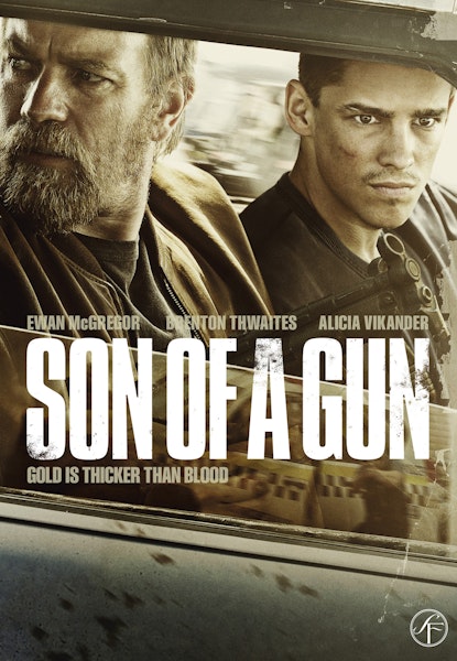 Son of a gun
