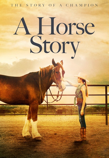 A Horse Story