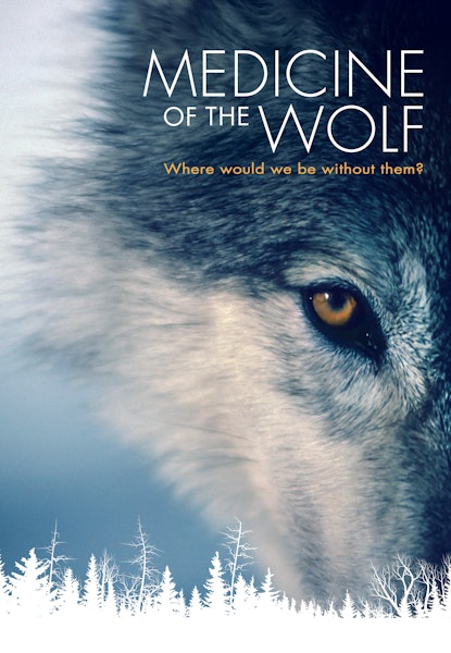 Medicine of the Wolf