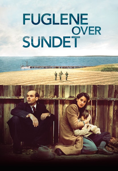 Fuglene over Sundet
