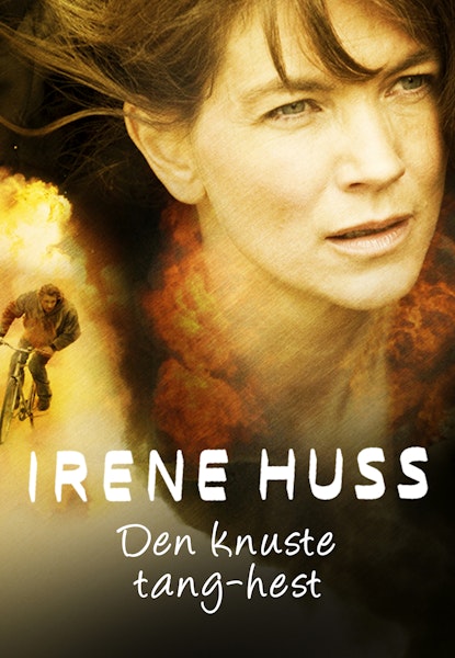 Irene Huss: Den knuste tanghest