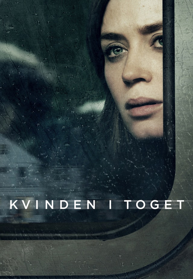 Kvinden i toget