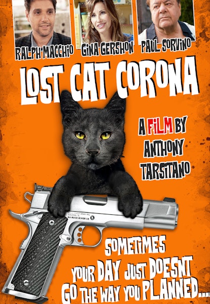 Lost Cat Corona