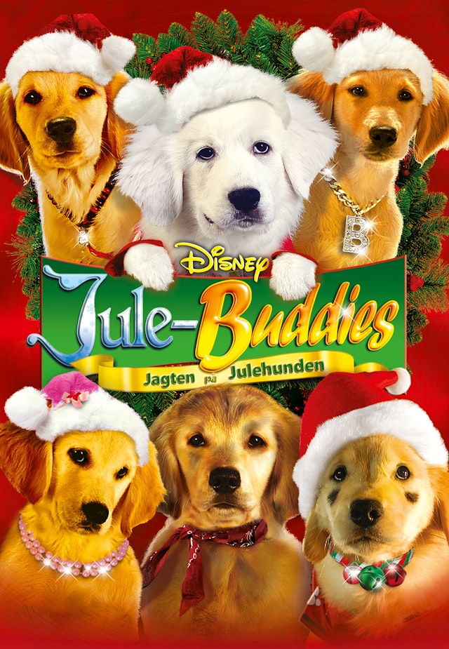 Jule-buddies: Jagten på julehunden