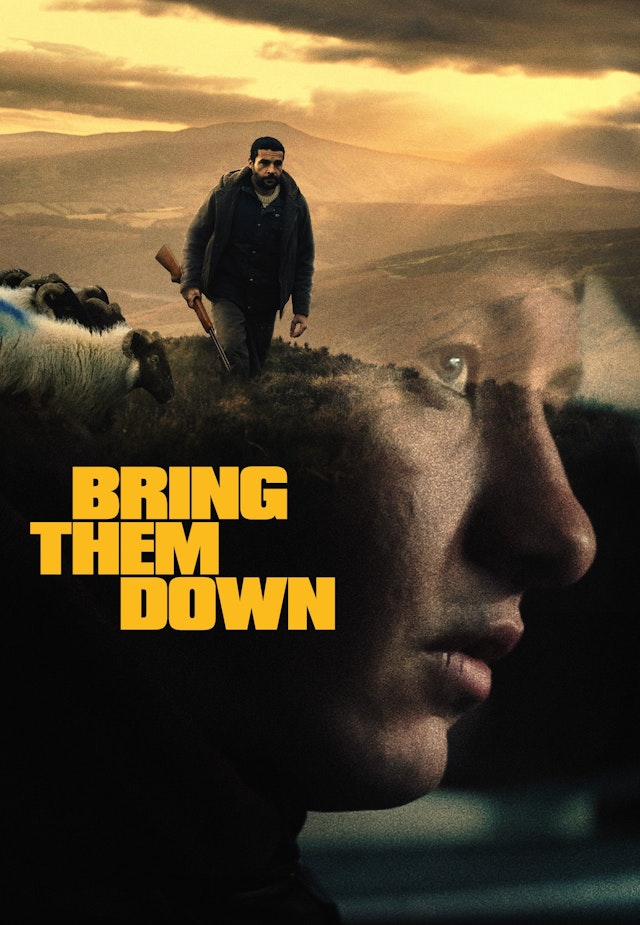 Bring Them Down