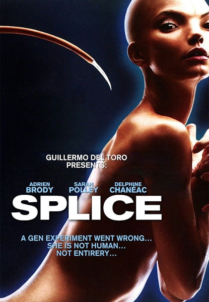 Splice