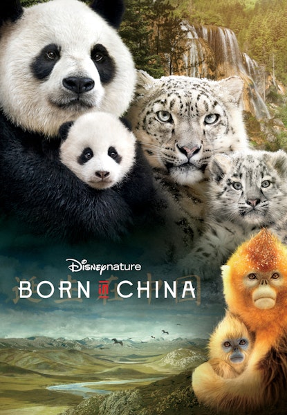Born in China