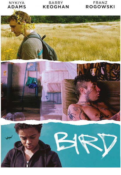 Bird