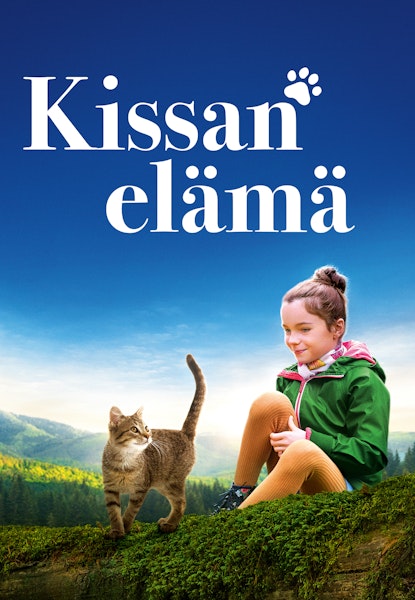 Kissan elämä