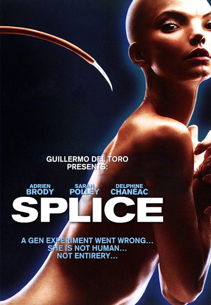 Splice
