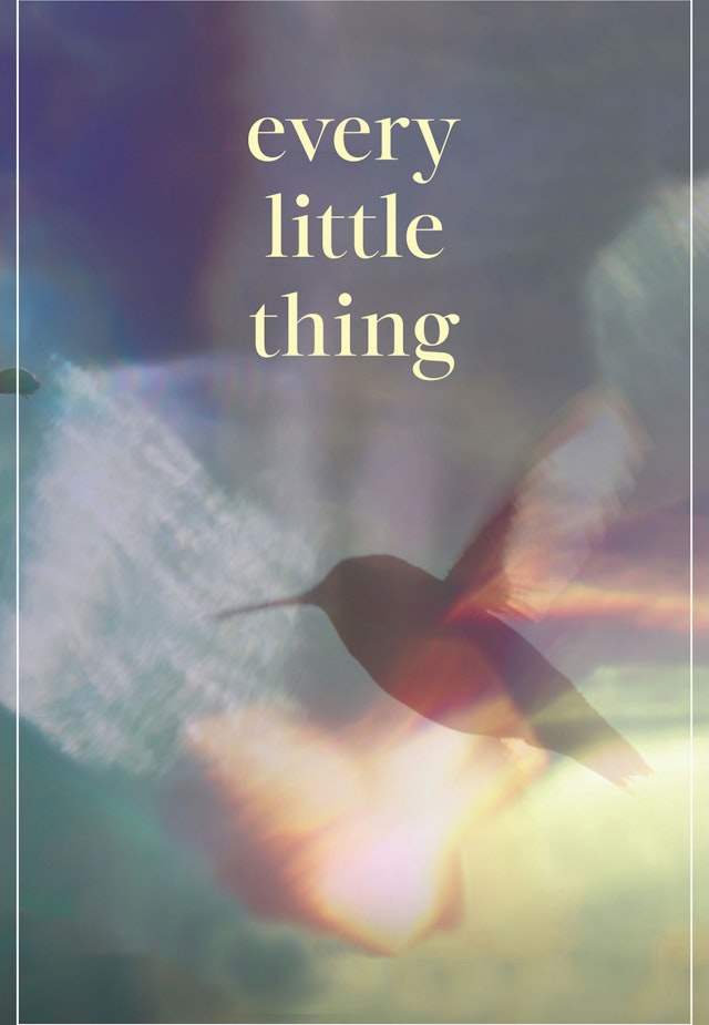 Every Little Thing