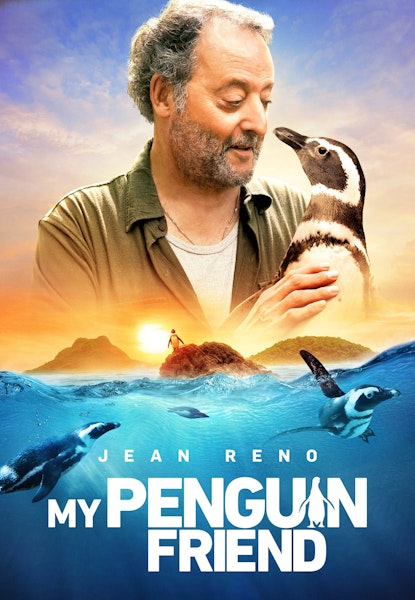 My penguin friend