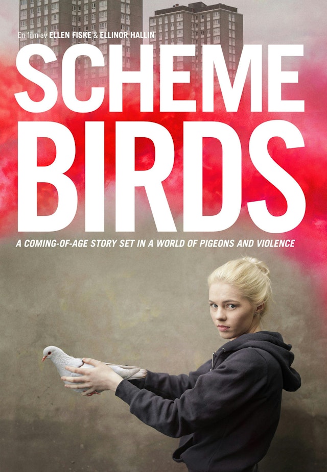 Scheme Birds