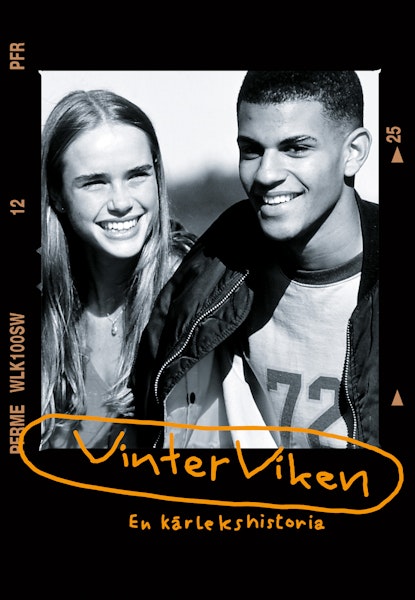 Vinterviken