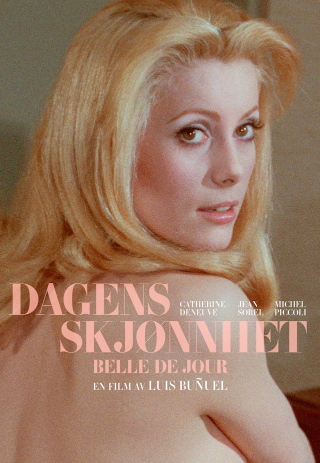 Dagens skjønnhet
