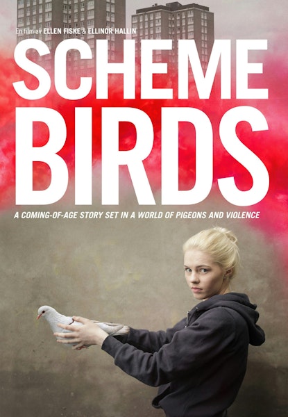 Scheme Birds