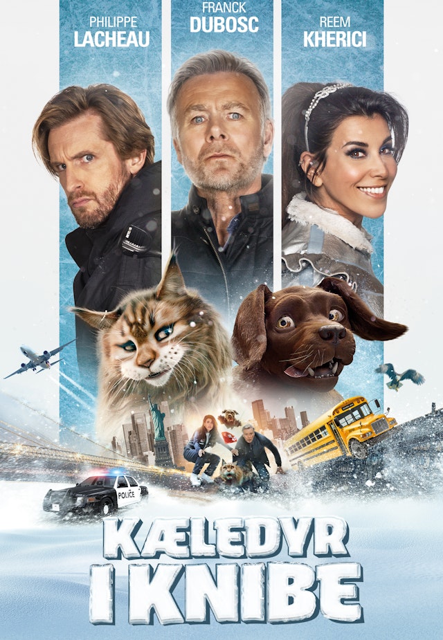 Kæledyr i knibe