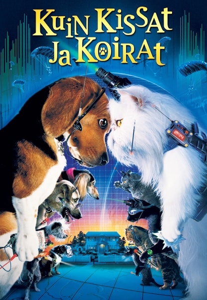 Kuin kissat ja koirat