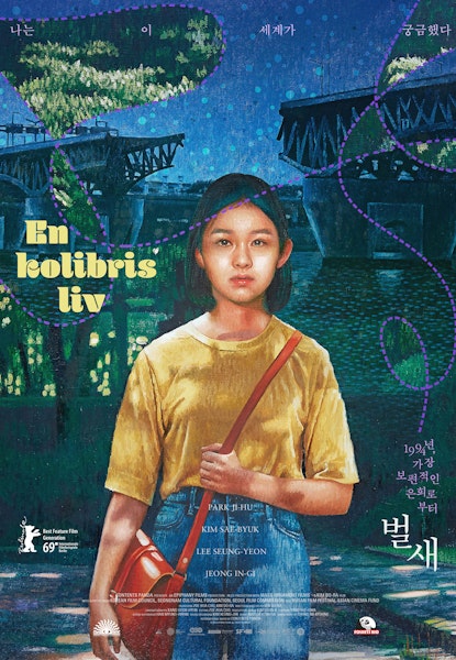 En kolibris liv