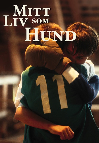 Mit Liv som Hund