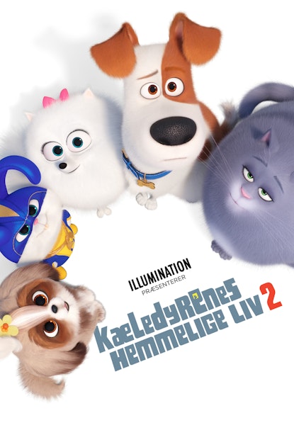 Kæledyrenes hemmelige liv 2