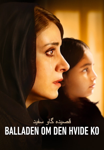 Balladen om den hvide ko