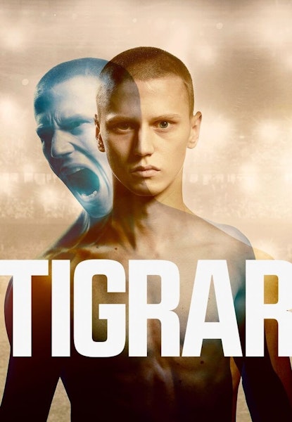 Tigrar