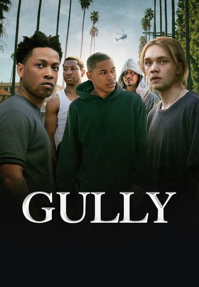 Gully