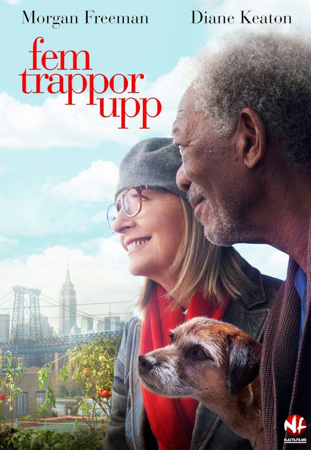 Fem trappor upp