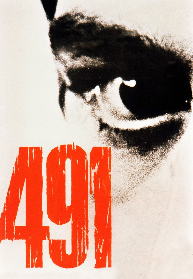 491