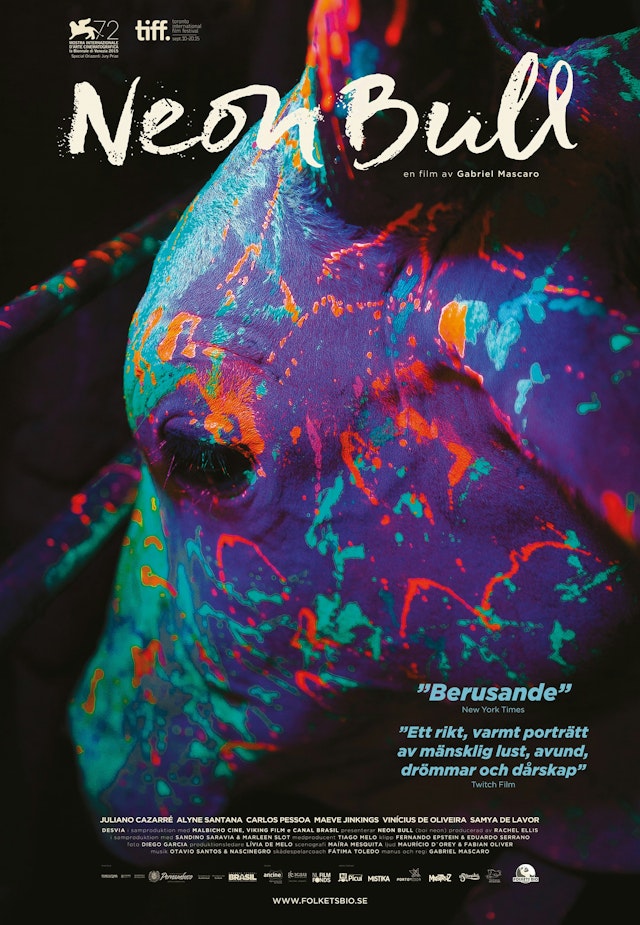 Neon Bull