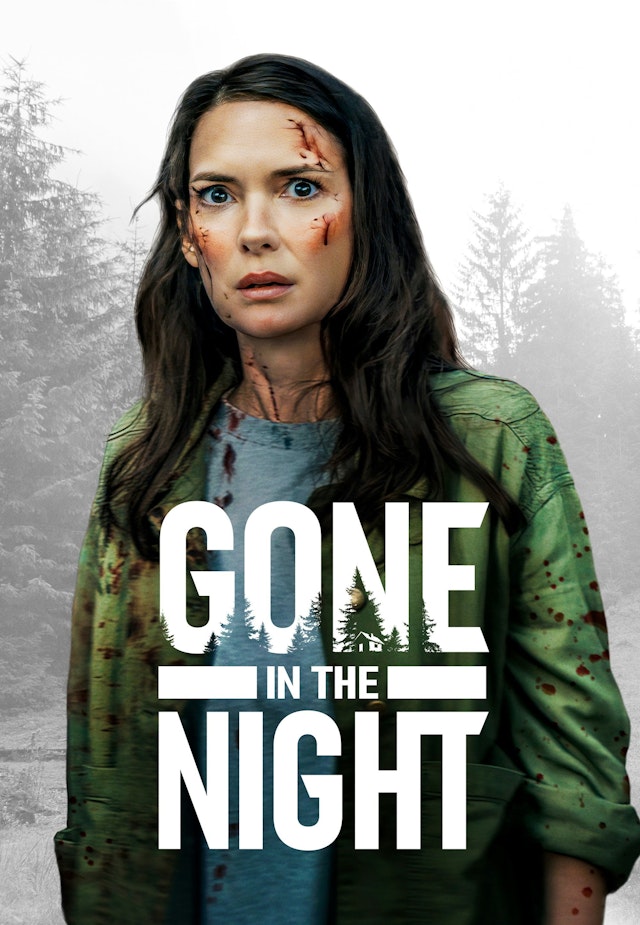Gone in the Night